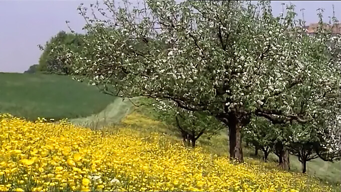 Film Fra 1977 Med Piger, Der Spiser Hinandens Fisser