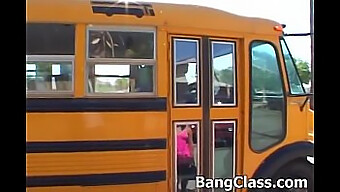 Coed Gets Fucked By Bus Driver