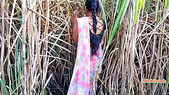 Young 18+ Teen Gets Fucked By Neighbor Aunt In Sugarcane Field