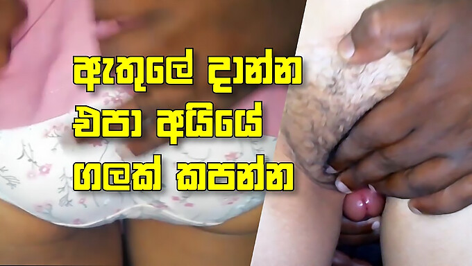 Cô Gái Sri Lanka 18 Tuổi Bị Đụ Cặc To Và Miệng Đầy Tinh Trùng